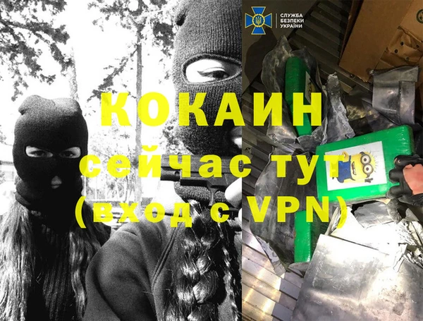 дмт Абаза