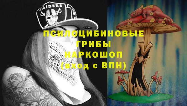 гашик Алексеевка