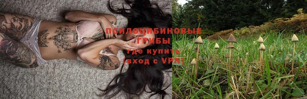 дмт Абаза